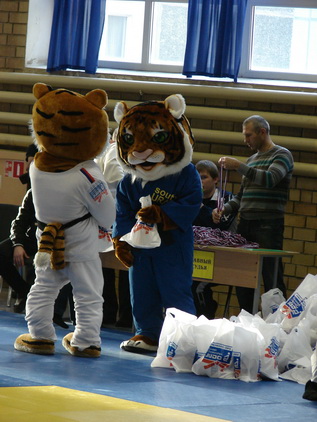 ������ �������-8