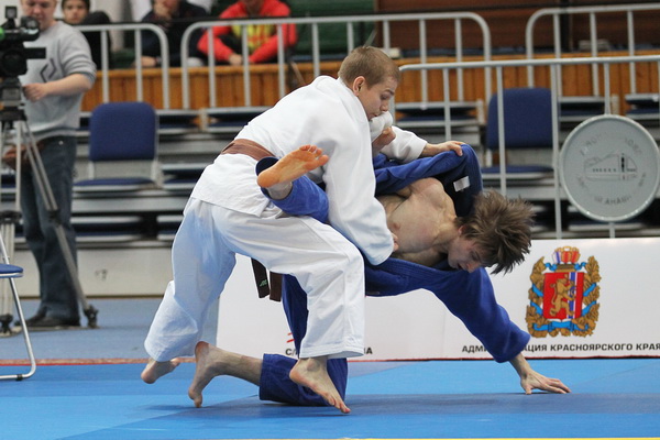 ����������-����������-2013-17