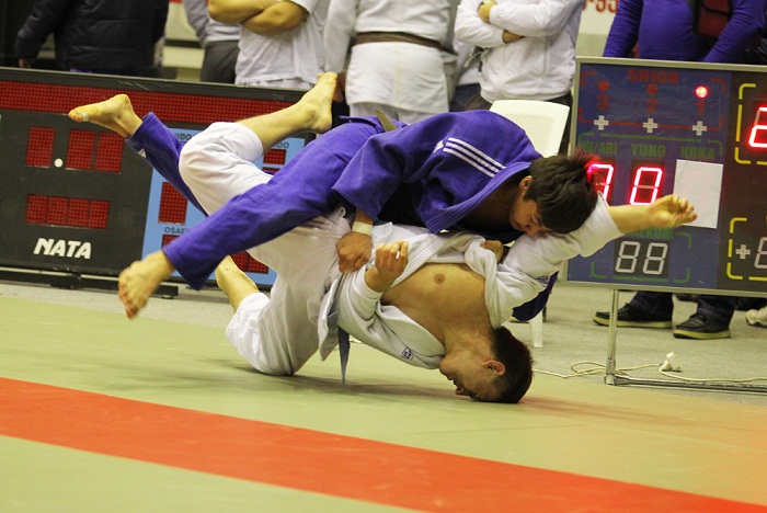 ������������-2012-13