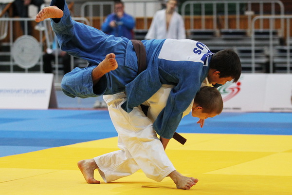 ����������-����������-2013-13