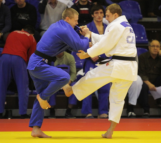 ��������-2012-2