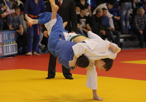 ����-2013 (18)-2