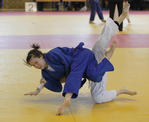 ����-2013 (18)-3