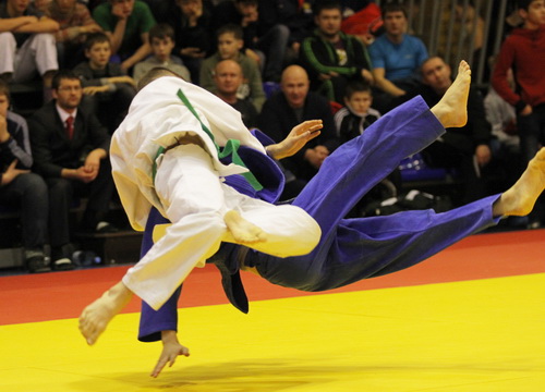 ����-2013 (18)-9