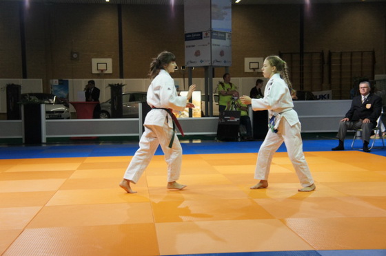 ���� � ��������-���������-4