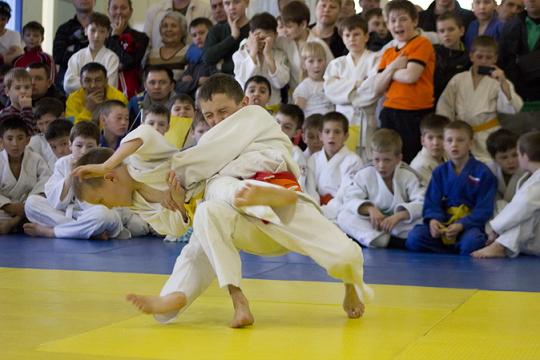 ������ �� ����� ����� "���������"-2013-2