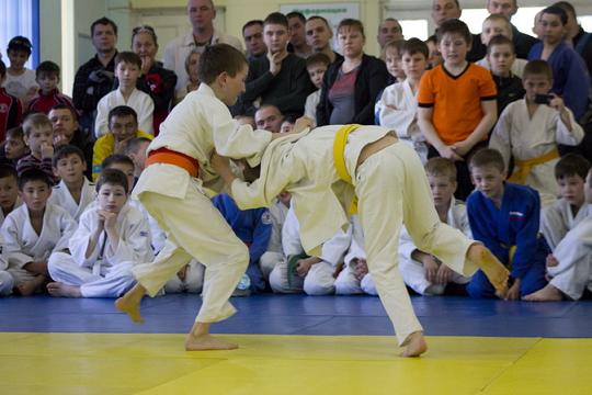 ������ �� ����� ����� "���������"-2013-3