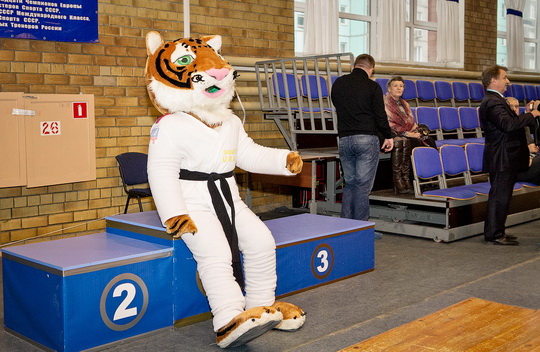 ��������-6