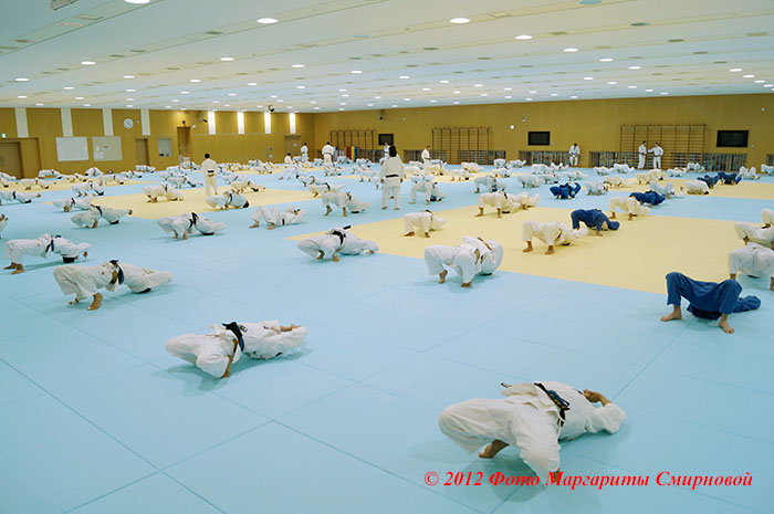 ������ � ������-3