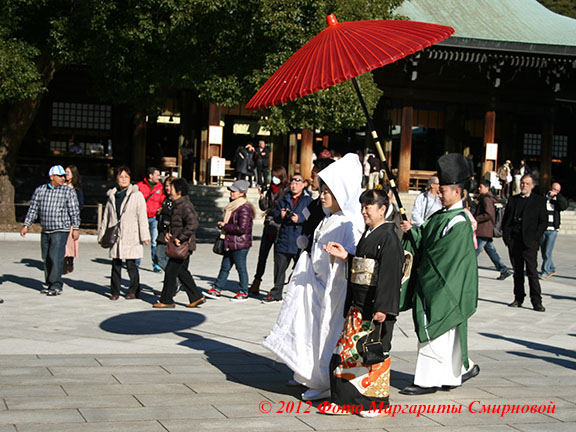 ������ � ������-6