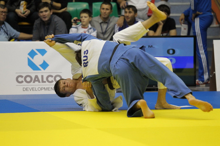 ��������-����������-31