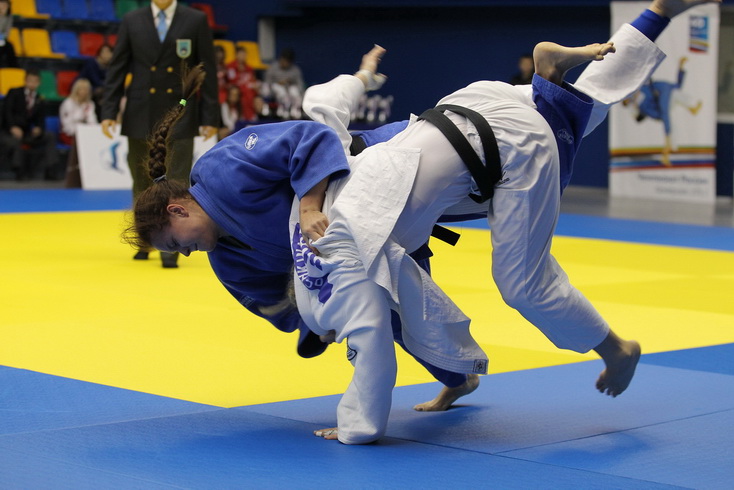 ��������-����������-40