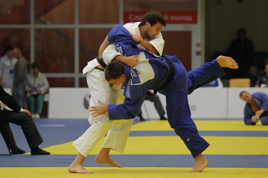 ��������-����������-41