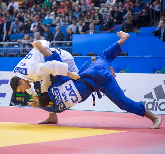 ��������-28-8